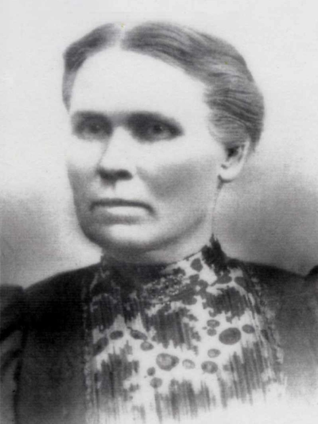 Helen Alcy Tanner (1839 - 1915) Profile